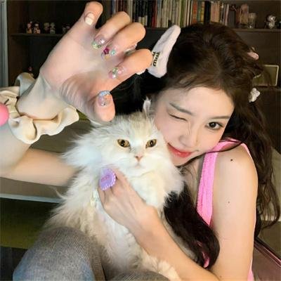 口碑收藏